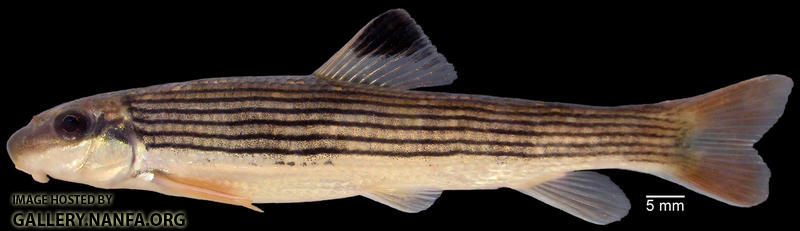 P8160027