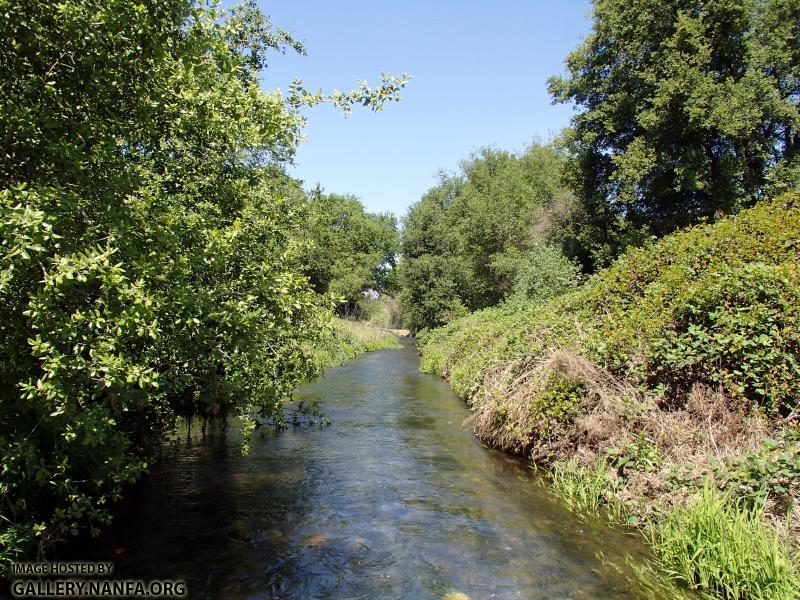 Buffalo Creek