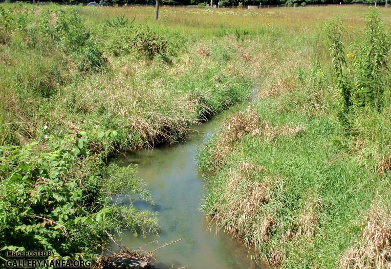 Willoway Brook
