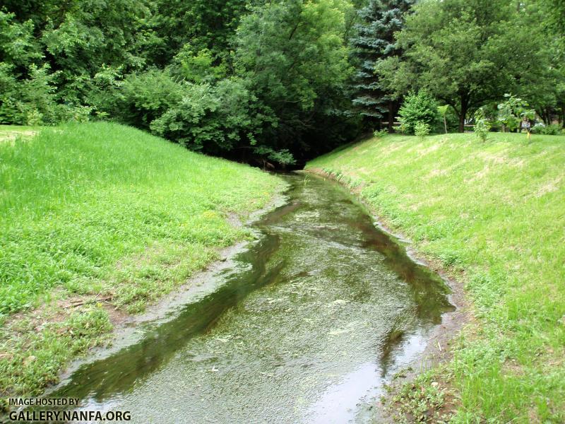 Lacey Creek