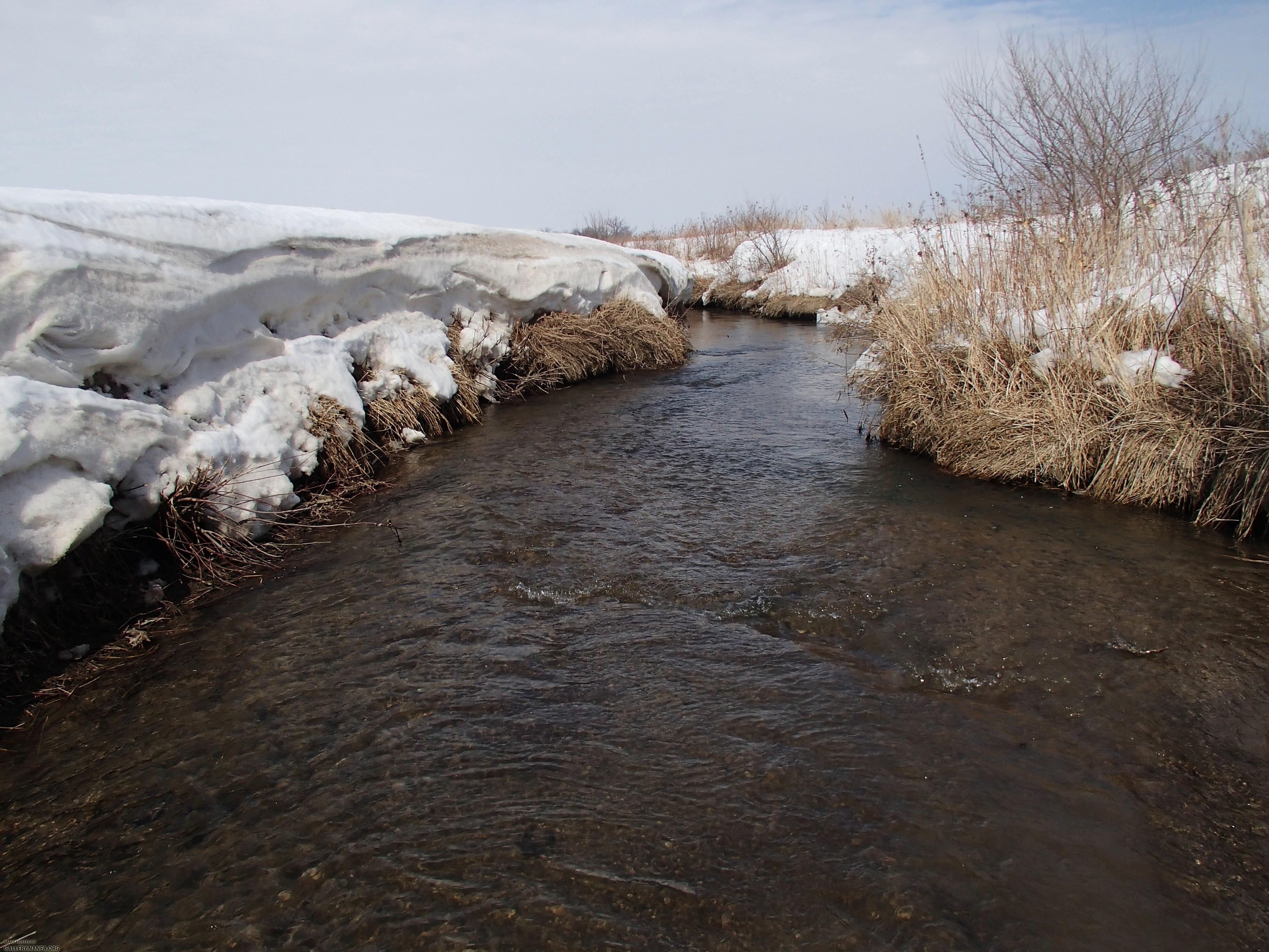 Little Pickerel Creek
