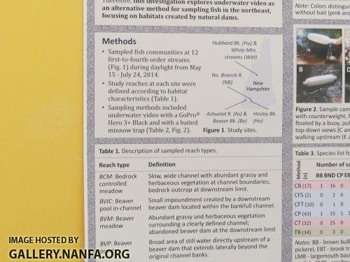 Aug 3 study 3 rsz