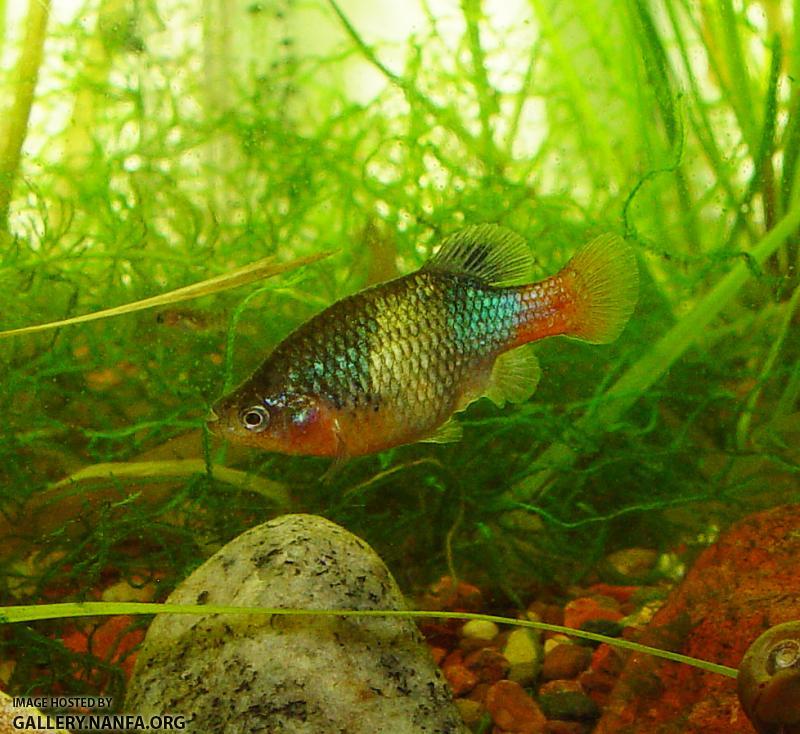 DSC00491a