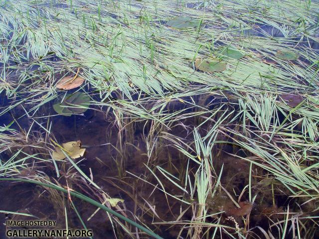 DSC00502a