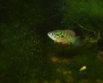 DSC01473a